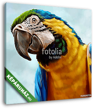 Ara papagáj - vászonkép 3D látványterv