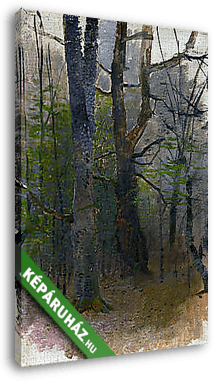 Kora tavaszi erdő (színverzió 1) - vászonkép 3D látványterv