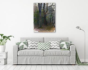 Kora tavaszi erdő (színverzió 1) (vászonkép) - vászonkép, falikép otthonra és irodába
