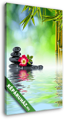 Zen kövek, rózsa és bambusz vízben - vászonkép 3D látványterv