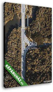 Autópálya az erdő szélén (légi felvétel) - vászonkép 3D látványterv