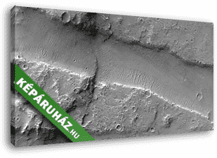 Melas Chasma, Valles Marineris, Mars felszín - vászonkép 3D látványterv