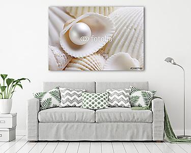 Fehér seashells gyöngyházzal (vászonkép) - vászonkép, falikép otthonra és irodába