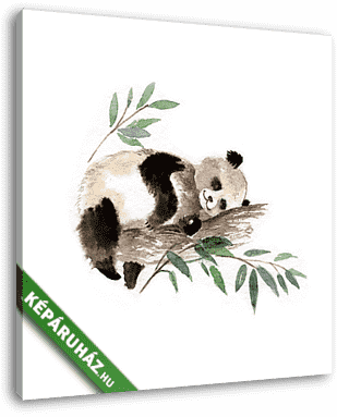Alvós panda - vászonkép 3D látványterv