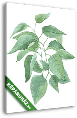 leaf sprig of lilac watercolor illustration - vászonkép 3D látványterv