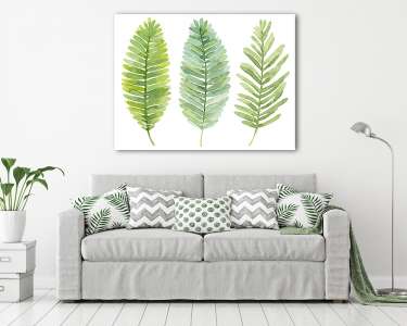 vektoros készlet akvarell levelek. Nyár zöld levelek a páfrány. (vászonkép) - vászonkép, falikép otthonra és irodába