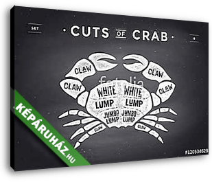 Cut of meat set. Poster Butcher diagram and scheme - Crab - vászonkép 3D látványterv