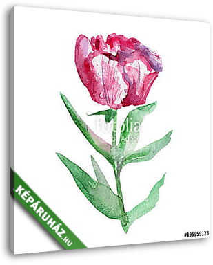 Watercolor pink peony flower, green leaf hand drawn painting ill - vászonkép 3D látványterv