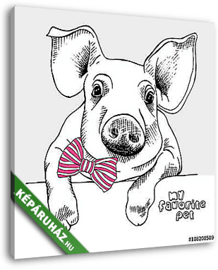 Image of a small pig with a bow. Vector illustration. - vászonkép 3D látványterv
