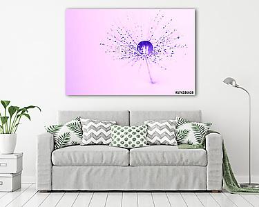 Purple water drop on the dandelion seed. Beautiful macro, artist (vászonkép) - vászonkép, falikép otthonra és irodába