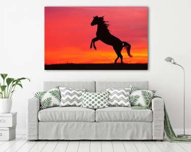 Ágaskodó ló napnyugtában (vászonkép) - vászonkép, falikép otthonra és irodába