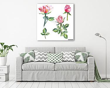 Rose flower, petals, bud watercolor hand drawn botanical illustr (vászonkép) - vászonkép, falikép otthonra és irodába