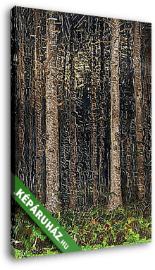 Erdei fák (színverzió 1) - vászonkép 3D látványterv
