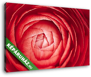 A tulipán ébredése - vászonkép 3D látványterv