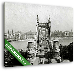 Erzsébet híd a Gellérthegyről nézve (1915) - vászonkép 3D látványterv