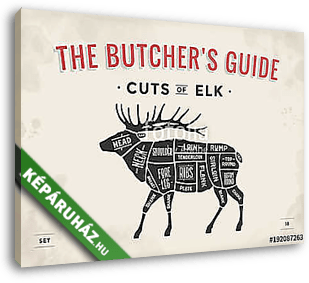 Cut of meat set. Poster Butcher diagram, scheme - Elk. Vintage t - vászonkép 3D látványterv