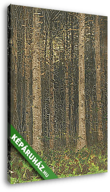 Erdei fák - vászonkép 3D látványterv
