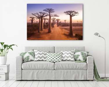 Afrikai naplemente a majomkenyérfa úton (vászonkép) - vászonkép, falikép otthonra és irodába