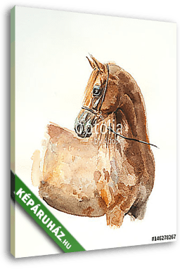 gesztenye arabiai ló akvarell - vászonkép 3D látványterv