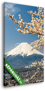 Mount Fuji a cseresznyefa ágakkal, Japánban - vászonkép 3D látványterv