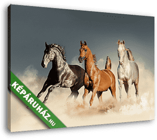 három ló szabadon fut a sivatagban - vászonkép 3D látványterv