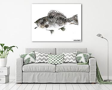 Egy hal (vászonkép) - vászonkép, falikép otthonra és irodába