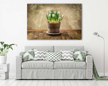Részlet a szép crocus flower pot, vintage stílusban (vászonkép) - vászonkép, falikép otthonra és irodába