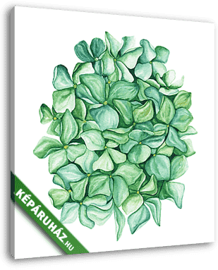 Green hydrangea flower art. Beautiful artistic backdrop. Ideal f - vászonkép 3D látványterv