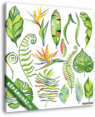 Watercolor tropical leaves - vászonkép 3D látványterv