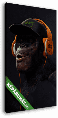 Bölcs majom 3. - (Jobb, Nem hall) - vászonkép 3D látványterv