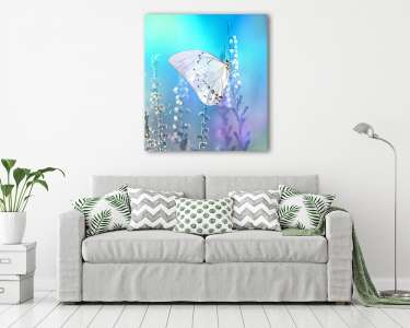 Beautiful white butterfly on white flower buds on a soft blurred (vászonkép) - vászonkép, falikép otthonra és irodába