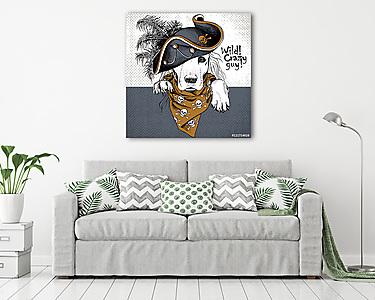Poster with portrait of a dog wearing gray pirate hat and brown  (vászonkép) - vászonkép, falikép otthonra és irodába