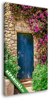 Különböző színes bejárati ajtó, virágokkal körülvéve - vászonkép 3D látványterv