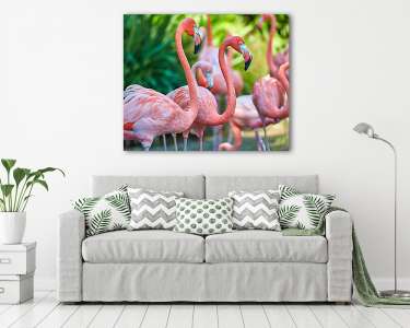 Rózsaszín flamingók (vászonkép) - vászonkép, falikép otthonra és irodába