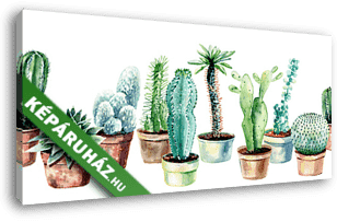 Kaktuszok cserépben tapétacsík - vászonkép 3D látványterv