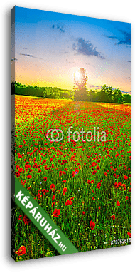 Poppies field at sunset - vászonkép 3D látványterv