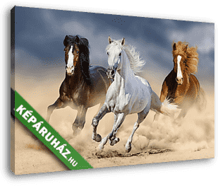 Három ló hosszú sörénnyel vágtat a homokban - vászonkép 3D látványterv
