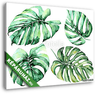 Tropical watercolor leaves set - vászonkép 3D látványterv