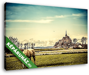 Legelésző ló, háttérben a Mont-Saint-Michel - vászonkép 3D látványterv