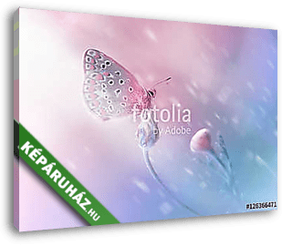 Beautiful delicate elegant butterfly on a flower with a soft foc - vászonkép 3D látványterv