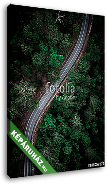 Áttekintés erdészeti hajtás - vászonkép 3D látványterv