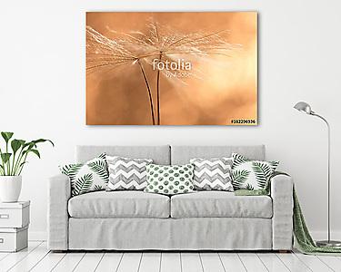 Dandelion seeds closeup in Golden. Beautiful macro of a dandelio (vászonkép) - vászonkép, falikép otthonra és irodába