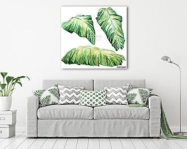 Tropical watercolor leaves set. (vászonkép) - vászonkép, falikép otthonra és irodába