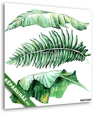Tropical watercolor leaves set - vászonkép 3D látványterv