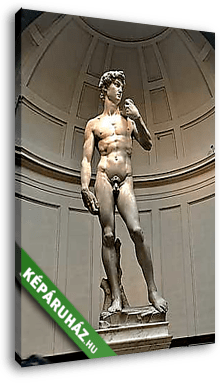 Michelangelo David szobor - vászonkép 3D látványterv