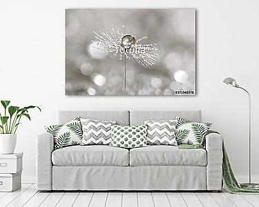A drop of dew on a dandelion. Macro of dandelion art work. (vászonkép) - vászonkép, falikép otthonra és irodába