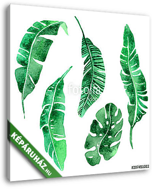 Tropical leaves set. - vászonkép 3D látványterv