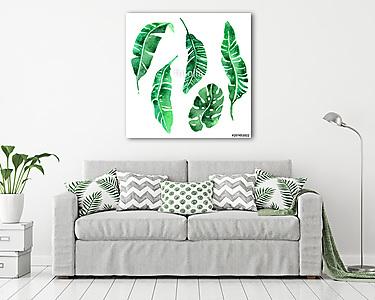 Tropical leaves set. (vászonkép) - vászonkép, falikép otthonra és irodába
