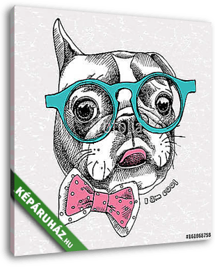Portrait of a French Bulldog with glasses and tie. Vector illust - vászonkép 3D látványterv