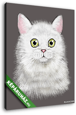 Aranyos macska illusztráció - vászonkép 3D látványterv